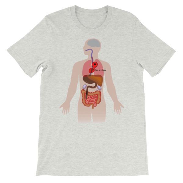You Are Here Anatomy Medical T-shirt-Ash-S-Awkward T-Shirts